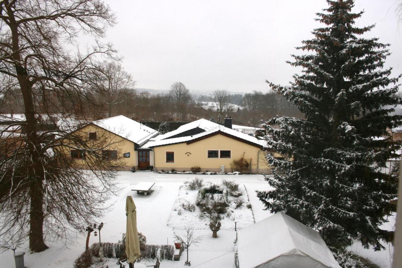 Villa Goeltzschtalblick Netzschkau Eksteriør billede